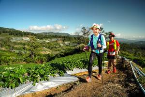 BIB: 
                            <button type="button" onclick="openModal(19123397)" class="btn btn-primary btn-sm float-right btn-popup" data-toggle="modal" data-target=".modal-high-quality">
                        <i class="fas fa-shopping-cart"></i> Add to Cart
                    </button>
                                            <button type="button" onclick="isThisMe(19123397, true)" class="btn btn-success btn-sm float-right btn-popup btn-isme hidden" data-toggle="tooltip" data-placement="bottom" title="นี่คือรูปของคุณใช่ไหม คลิกที่นี่เพื่อเอาเข้าอัลบั้ม">
                        <i class="fas fa-plus"></i> Add to album
                    </button>
                    <button type="button" onclick="isThisMe(19123397, false)" class="btn btn-warning btn-sm float-right btn-popup btn-isnotme hidden">
                        <i class="fas fa-ban"></i> Remove from album
                    </button>